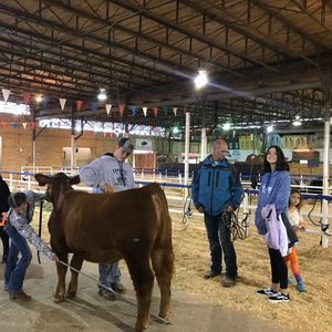 Meet your Posher, Lily